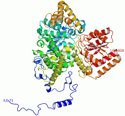 Image Theor.Model - manually