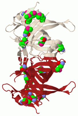 Image Biol.Unit 1 - manually