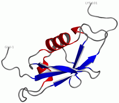 Image NMR Structure - manually