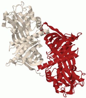 Image Biol.Unit 1 - manually