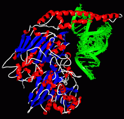 Image Asym./Biol. Unit - manually