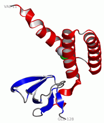 Image Asym./Biol. Unit - manually