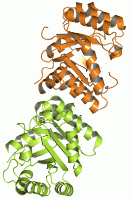 Image Asym./Biol. Unit - manually