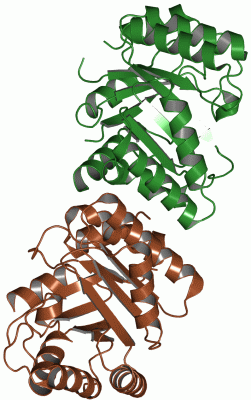 Image Asym./Biol. Unit - manually