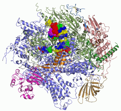 Image Asym./Biol. Unit - manually