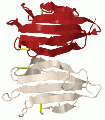 Image Biol.Unit 1 - manually