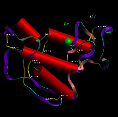 Image NMR Structure - manually