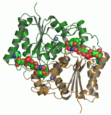 Image Asym./Biol. Unit - manually