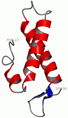 Image NMR Structure - manually