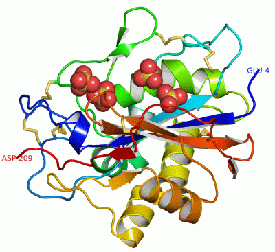 Image Asym./Biol. Unit - manually