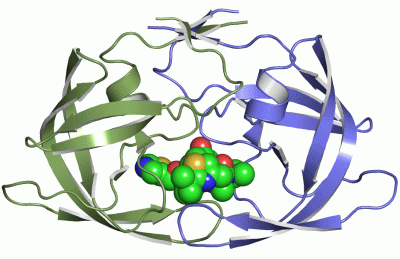 Image Asym./Biol. Unit - manually