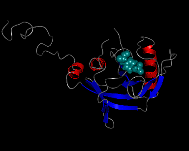 Image NMR Structure - manually