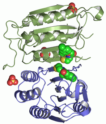 Image Asym./Biol. Unit - manually