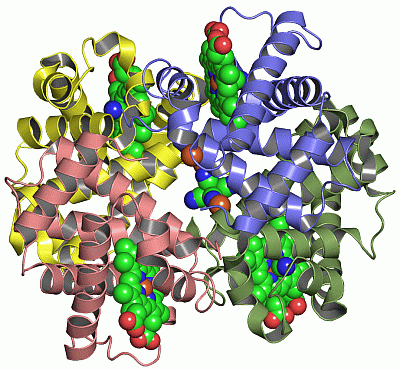 Image Asym./Biol. Unit - manually