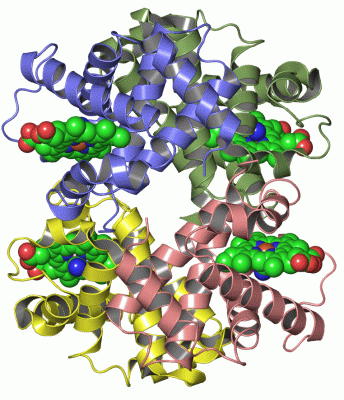 Image Asym./Biol. Unit - manually