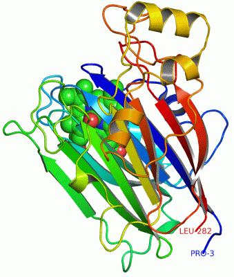 Image Asym./Biol. Unit - manually