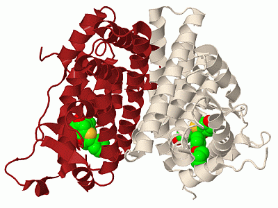 Image Biol.Unit 1 - manually