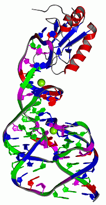 Image Asym./Biol. Unit - manually