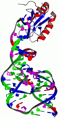 Image Asym./Biol. Unit - manually