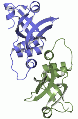 Image Asym./Biol. Unit - manually