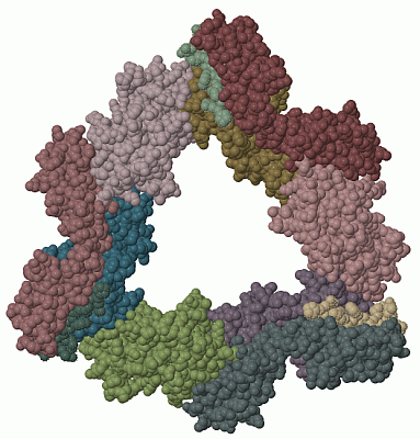 Image Biol.Unit 1 - manually