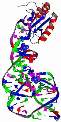 Image Asym./Biol. Unit - manually