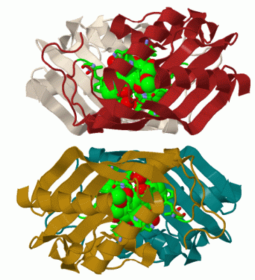 Image Biol.Unit 1 - manually