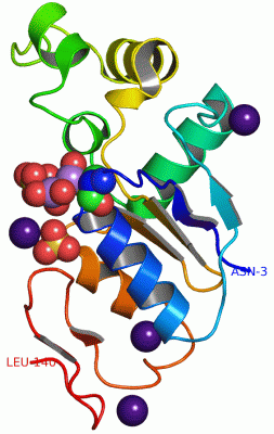 Image Asym./Biol. Unit - manually