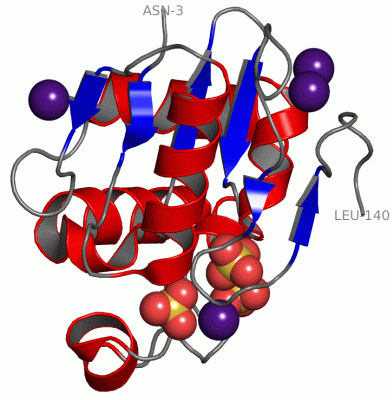 Image Asym./Biol. Unit - manually