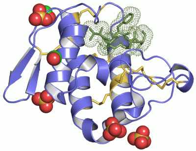 Image Asym./Biol. Unit - manually