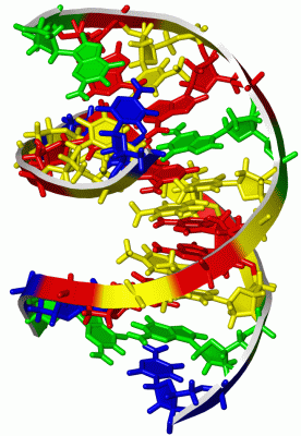 Image NMR Structure - manually