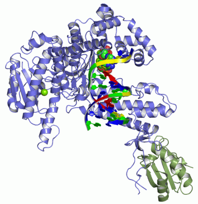 Image Asym./Biol. Unit - manually