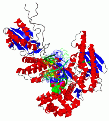 Image Asym./Biol. Unit - manually