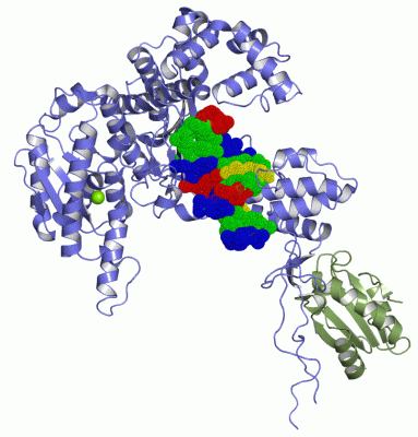 Image Asym./Biol. Unit - manually