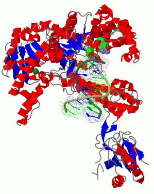 Image Biol.Unit 1 - manually