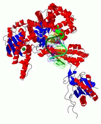 Image Asym./Biol. Unit - manually