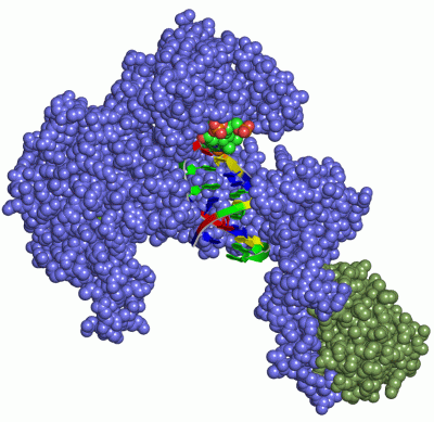 Image Asym./Biol. Unit - manually