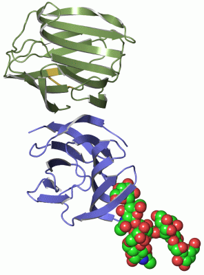 Image Asym./Biol. Unit - manually