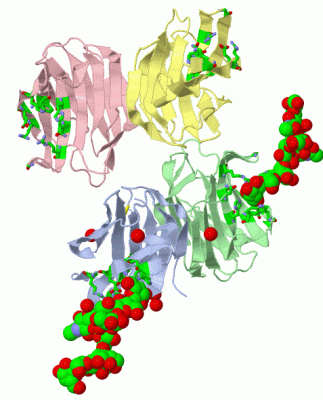 Image Asym.Unit - manually