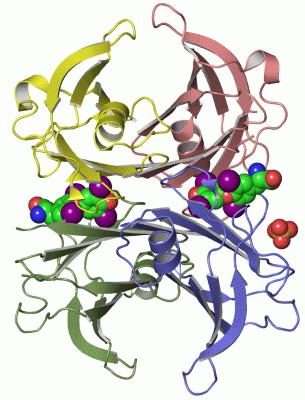 Image Asym./Biol. Unit - manually