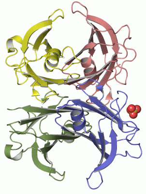 Image Asym./Biol. Unit - manually