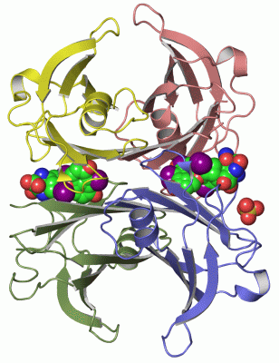 Image Asym./Biol. Unit - manually