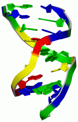 Image NMR Structure - manually