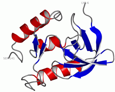 Image Asym./Biol. Unit - manually