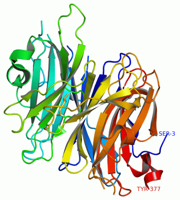 Image Asym./Biol. Unit - manually