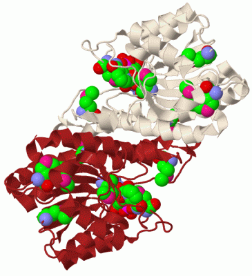 Image Biol.Unit 1 - manually