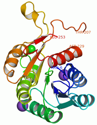 Image Asym.Unit - manually