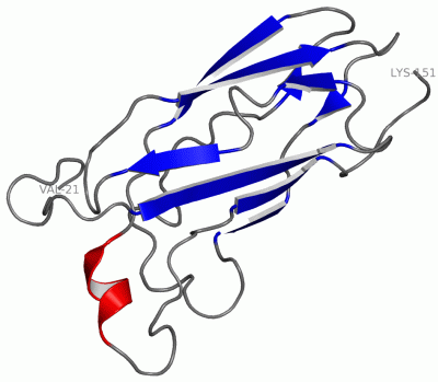 Image NMR Structure - manually