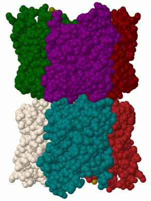 Image Biol.Unit 1 - manually