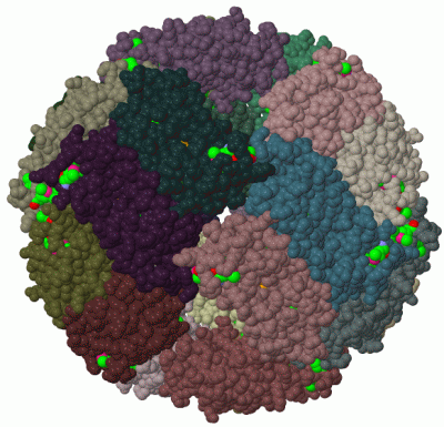 Image Biol.Unit 1 - manually